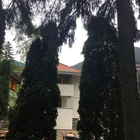 Manyi Villa バイレ・トゥシュナド エクステリア 写真