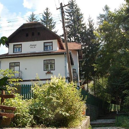 Manyi Villa バイレ・トゥシュナド エクステリア 写真