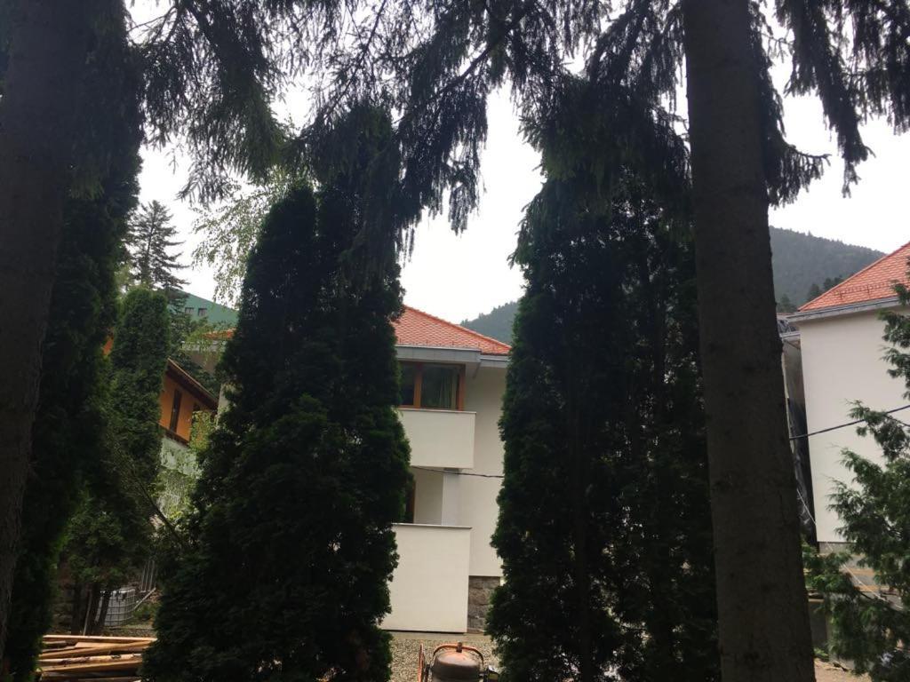 Manyi Villa バイレ・トゥシュナド エクステリア 写真