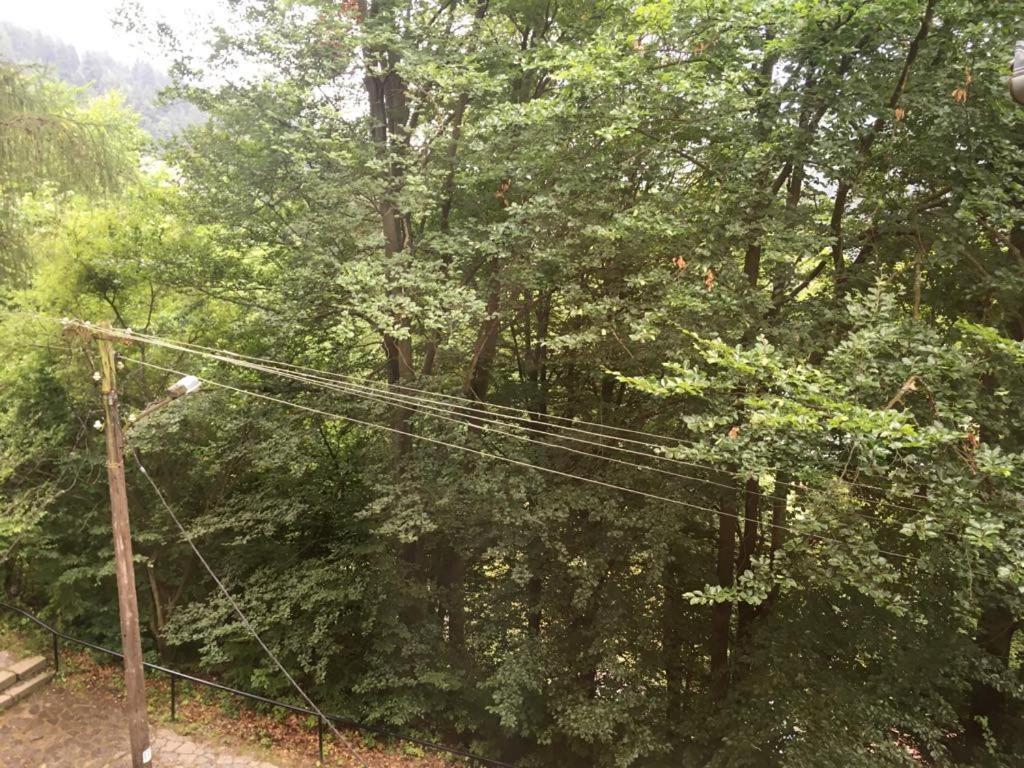 Manyi Villa バイレ・トゥシュナド エクステリア 写真