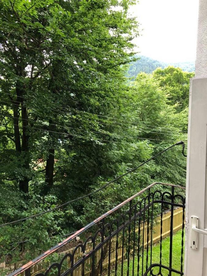 Manyi Villa バイレ・トゥシュナド エクステリア 写真