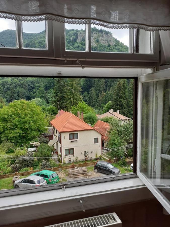 Manyi Villa バイレ・トゥシュナド エクステリア 写真